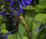 2023 09 17 LongFellowGardens 025